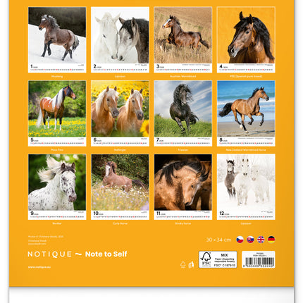 Presco Horses Kalender 2026
