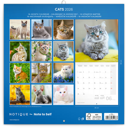 Presco Katten Kalender 2026