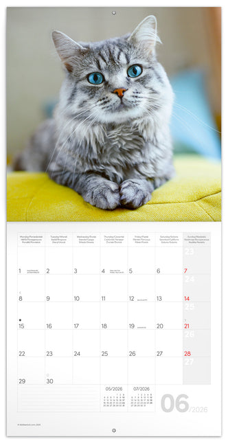 Presco Katten Kalender 2026
