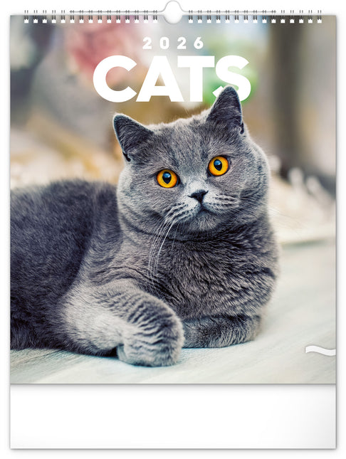 Presco Katten Kalender 2026