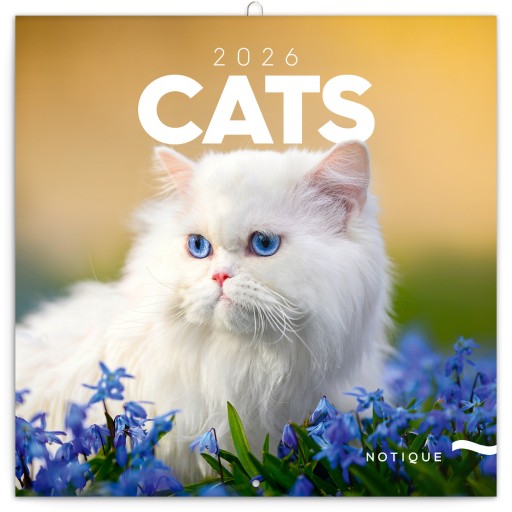 Presco Katten Kalender 2026