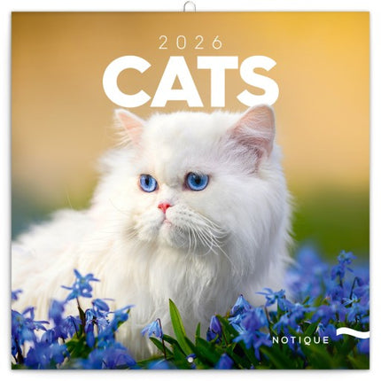 Presco Katten Kalender 2026