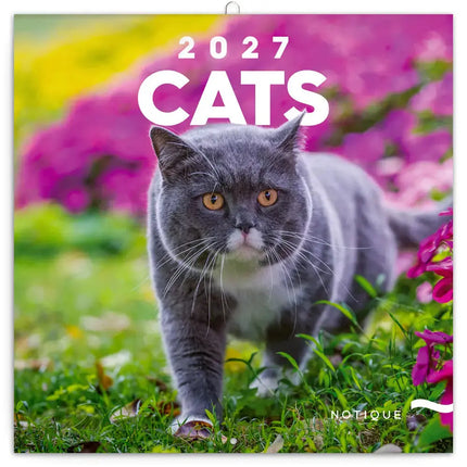 Presco Katten Kalender 2027