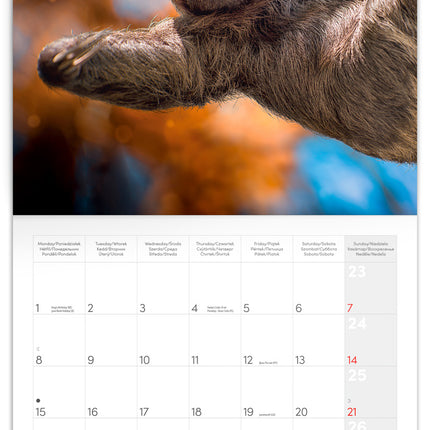 Presco Keep Smiling Kalender 2026