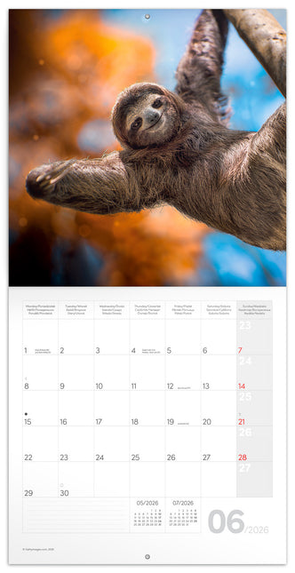 Presco Keep Smiling Kalender 2026