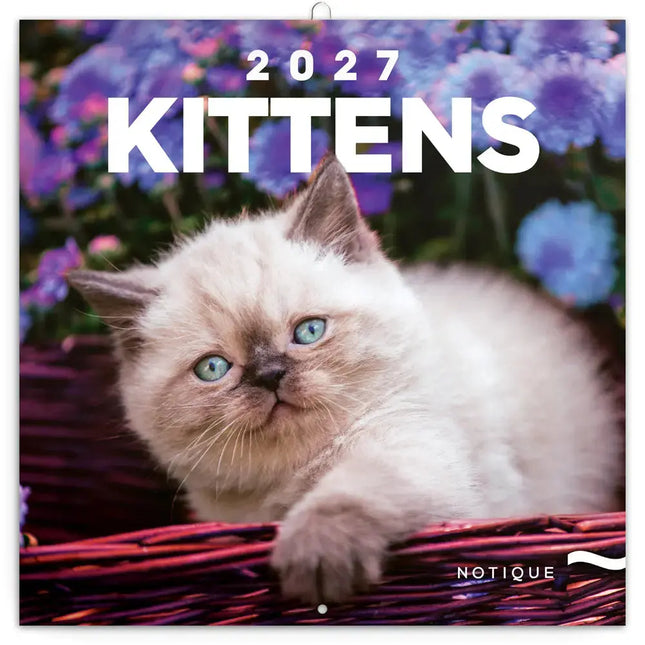 Presco Kittens Kalender 2027