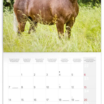 Presco Paarden Kalender 2027