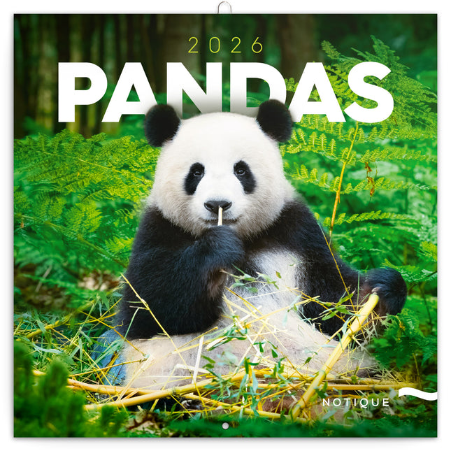 Presco Panda Kalender 2026