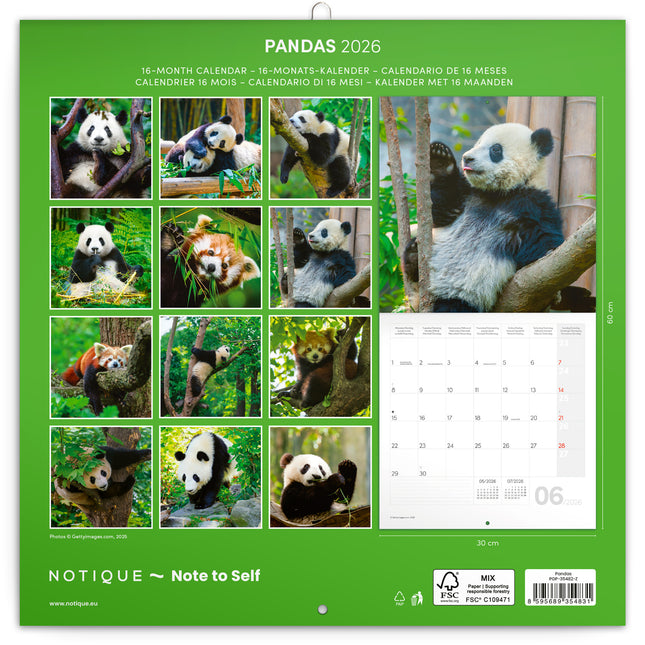 Presco Panda Kalender 2026