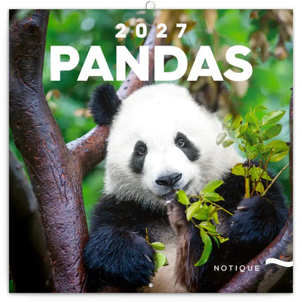 Presco Panda Kalender 2027