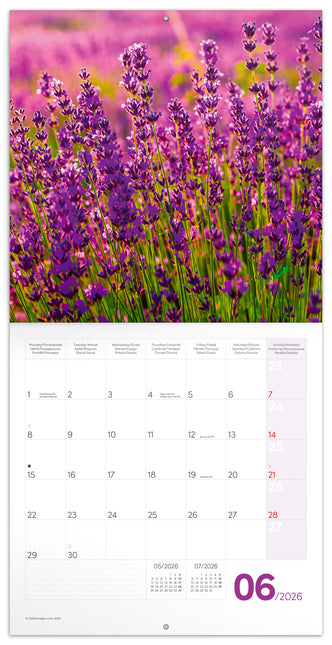 Presco Provence Kalender 2026