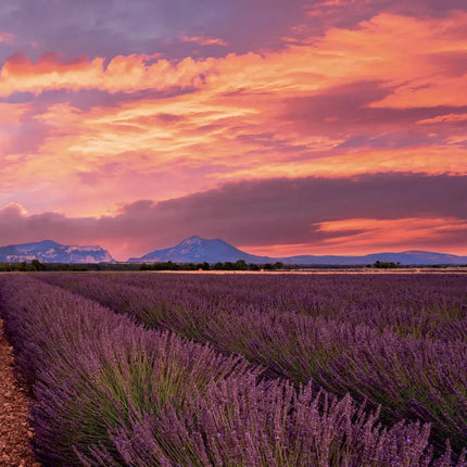 Presco Provence Kalender 2027