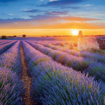 Presco Provence Kalender 2027
