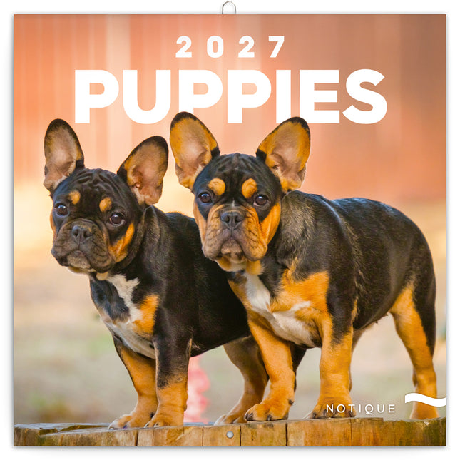 Presco Puppies Kalender 2027