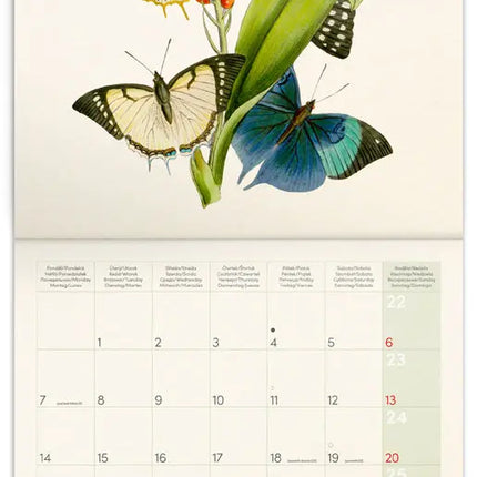 Presco Vlinder Kalender 2027