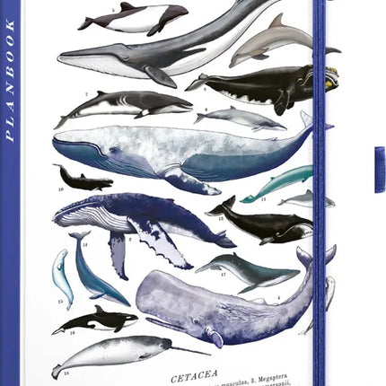 Presco Weekagenda Marine Life 2027