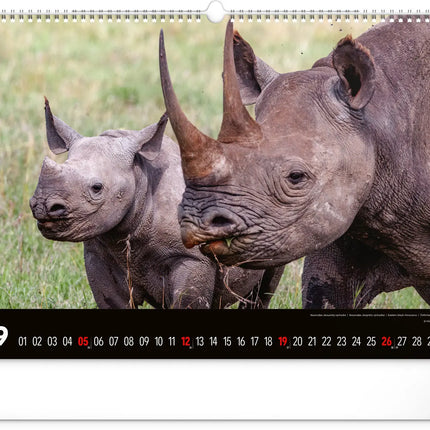 Presco Wild Africa Kalender Groot 2027