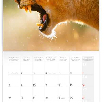 Presco Wild Animals Kalender 2026