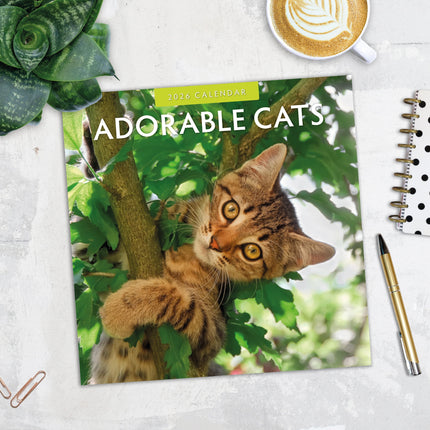 Red Robin Adorable Cats Kalender 2026