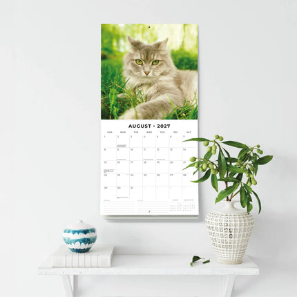 Red Robin Adorable Cats Kalender 2027