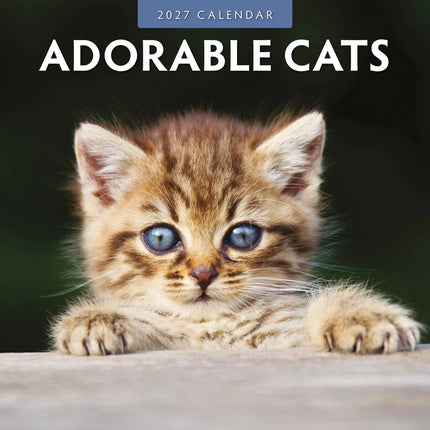 Red Robin Adorable Cats Kalender 2027