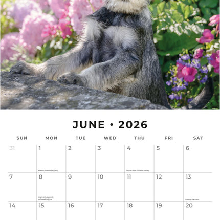 Red Robin Adorable Dogs Kalender 2026