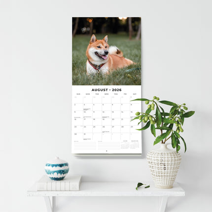 Red Robin Adorable Dogs Kalender 2026