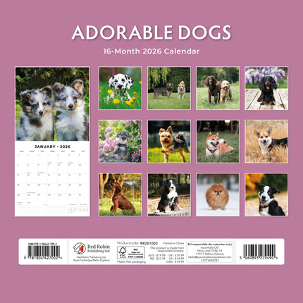 Red Robin Adorable Dogs Kalender 2026