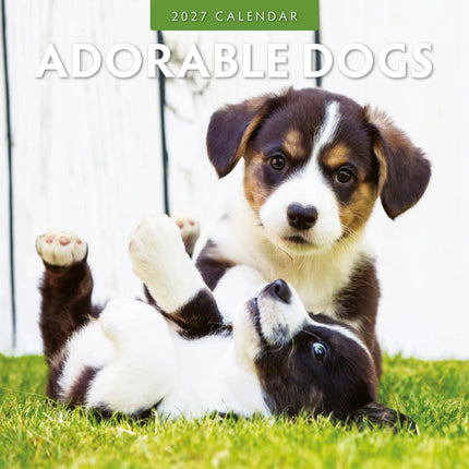 Red Robin Adorable Dogs Kalender 2027
