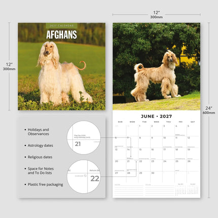 Red Robin Afghaanse Windhond Kalender 2027