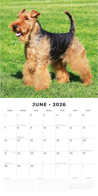 Red Robin Airedale Terrier Kalender 2026