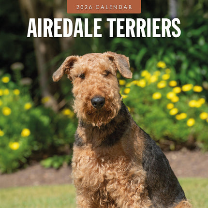 Red Robin Airedale Terrier Kalender 2026