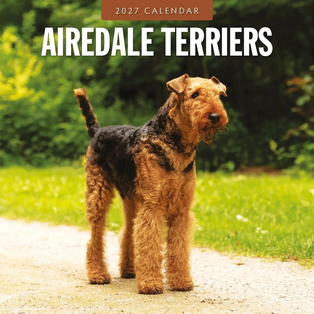 Red Robin Airedale Terrier Kalender 2027