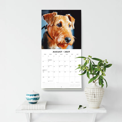 Red Robin Airedale Terrier Kalender 2027