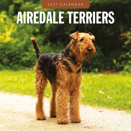 Red Robin Airedale Terrier Kalender 2027