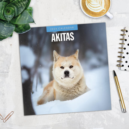 Red Robin Akita Kalender 2026