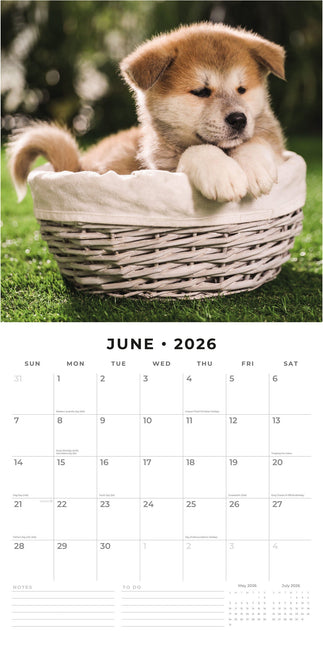 Red Robin Akita Kalender 2026