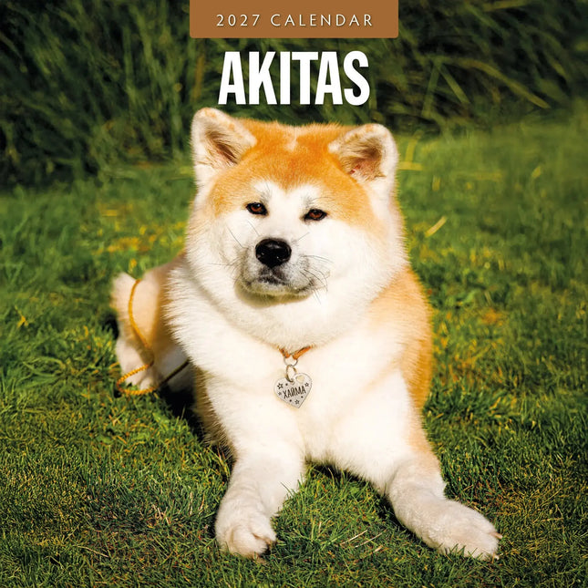 Red Robin Akita Kalender 2027