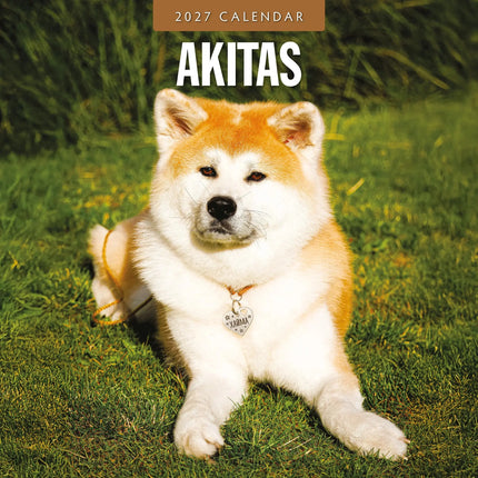 Red Robin Akita Kalender 2027