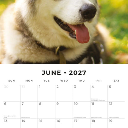 Red Robin Alaskan Malamute Kalender 2027