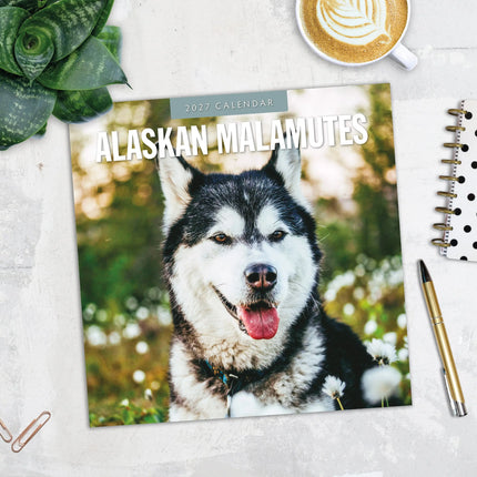 Red Robin Alaskan Malamute Kalender 2027