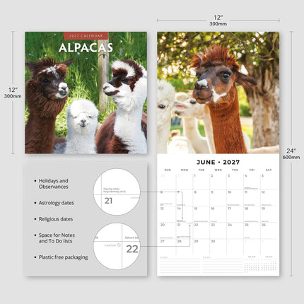 Red Robin Alpaca Kalender 2027