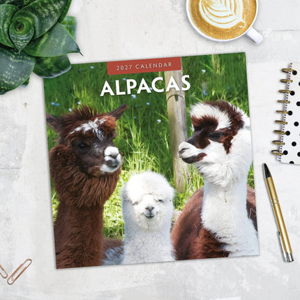 Red Robin Alpaca Kalender 2027