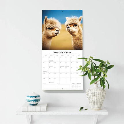 Red Robin Alpaca Kalender 2027
