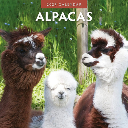 Red Robin Alpaca Kalender 2027