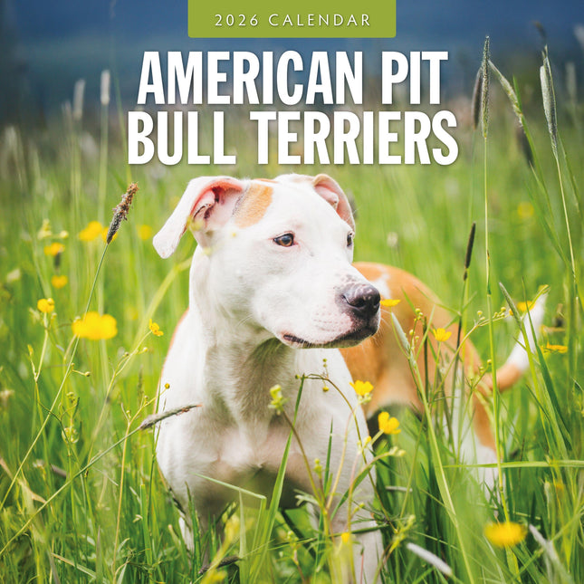 Red Robin American Pit Bull Terrier Kalender 2026