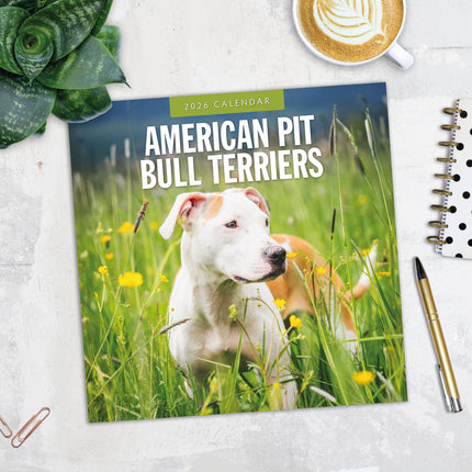 Red Robin American Pit Bull Terrier Kalender 2026