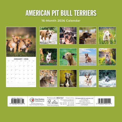 Red Robin American Pit Bull Terrier Kalender 2026