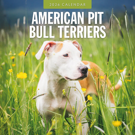 Red Robin American Pit Bull Terrier Kalender 2026