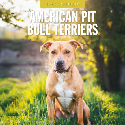 Red Robin American Pit Bull Terrier Kalender 2027